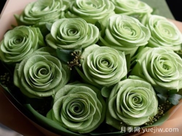 苏格兰复古绿玫瑰，绿色魅力的神秘诠释